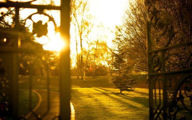 Park gate sunset autumn leaves free wallpaper - medium preview image