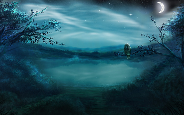 Night owl lake moon stars free wallpaper - medium preview image