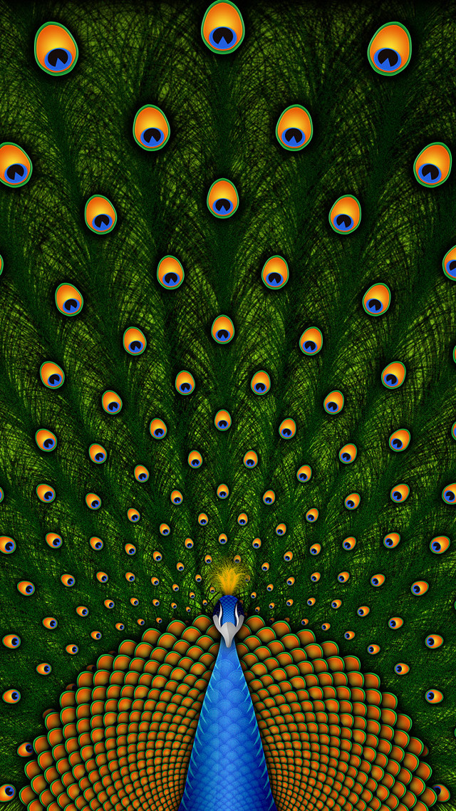 Peacock blue tail orange green free wallpaper - medium preview image