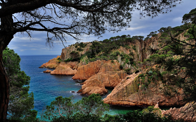 Rocky coastline lake forest cloudy free wallpaper - medium preview image