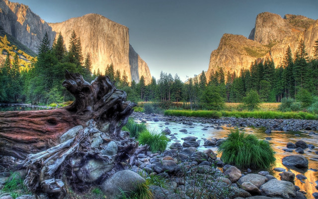 River forest mountains fallen tree free wallpaper - medium preview image