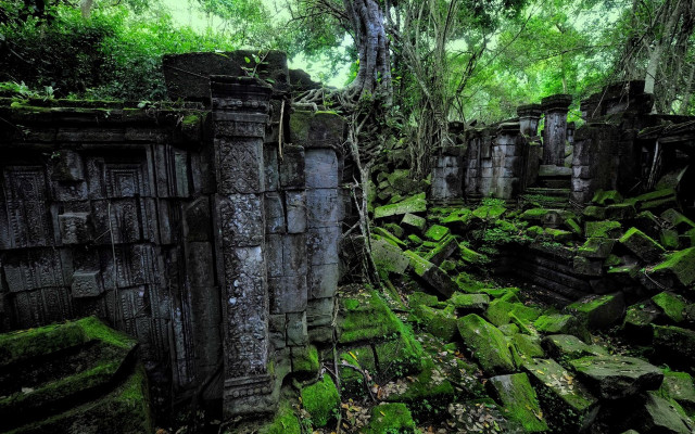 Overgrown forest ruins bridge city free wallpaper - medium preview image