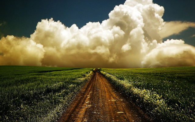 Dirt road green field cloudy #16 free wallpaper - medium preview image