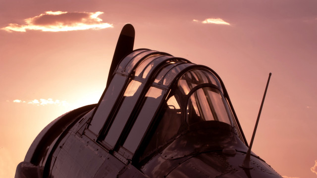 Sunshine plane pink sky dusk free wallpaper - medium preview image