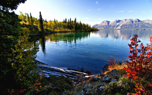 Lake mountains trees autumn sky #2 free wallpaper - medium preview image
