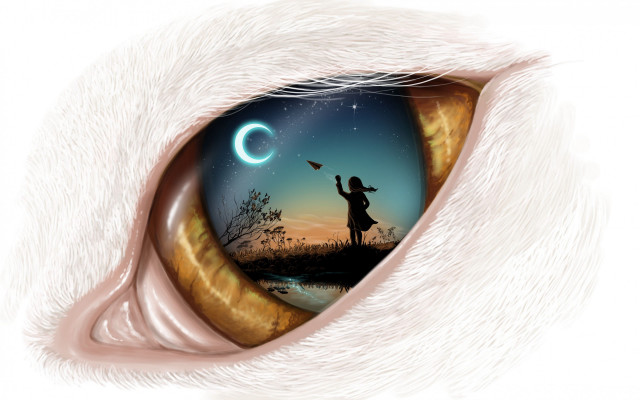 Girl flying kite cat eye free wallpaper - medium preview image