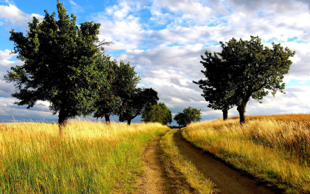Dirt road field trees sky #2 free wallpaper - medium preview image