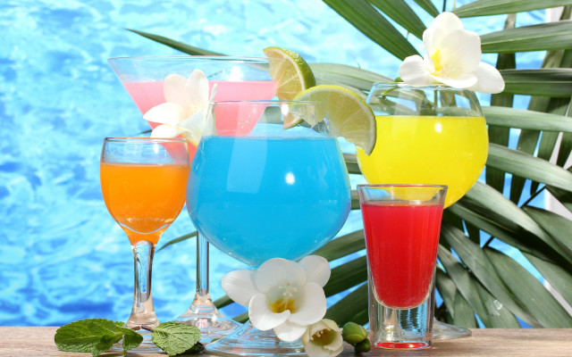 Summer vibrancy drinks plant pool free wallpaper - medium preview image