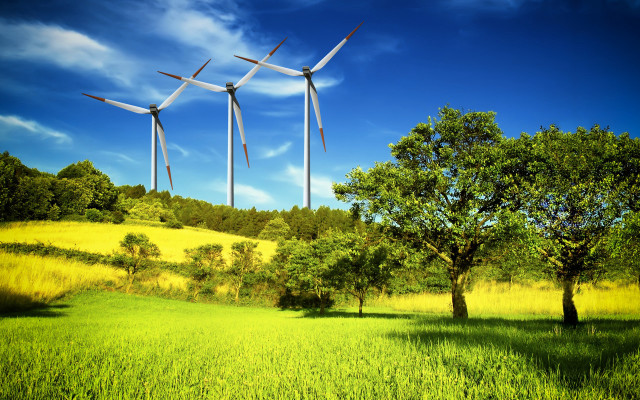 Wind turbines tree blue sky free wallpaper - medium preview image
