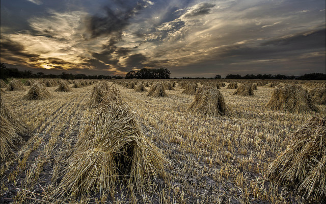 Hayfield cloudy sky bales nature free wallpaper - medium preview image