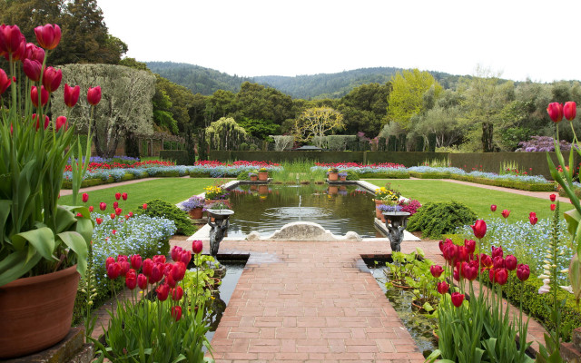 Garden pond walkway flowers trees free wallpaper - medium preview image