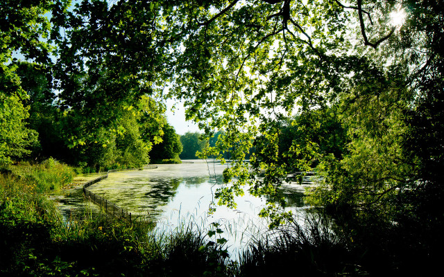 River trees grass boat night free wallpaper - medium preview image