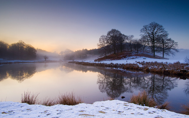Lake snowy forest foggy winter free wallpaper - medium preview image