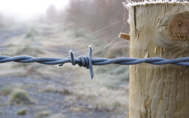 Barbed wire tree stump cloudy free wallpaper - medium preview image