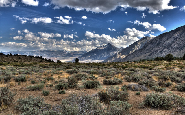 Mountain range clouds bushes panorama free wallpaper - medium preview image