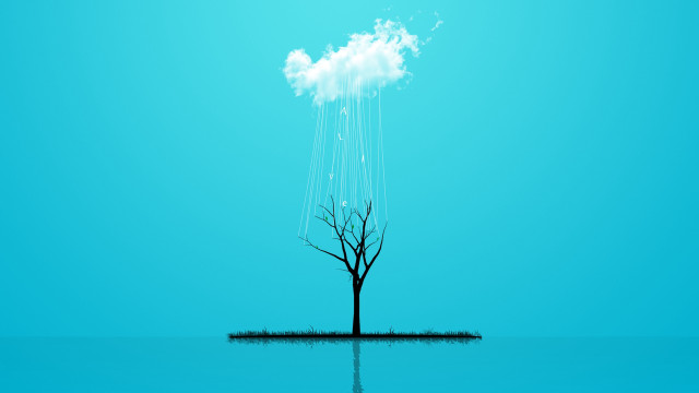Lone tree water cloud blue free wallpaper - medium preview image