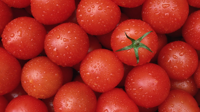 Tomatoes water droplets closeup macro free wallpaper - medium preview image
