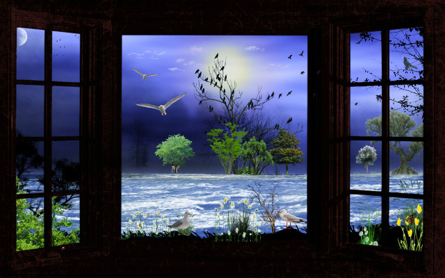 Moonlit lake view birds night free wallpaper for desktop - medium preview image