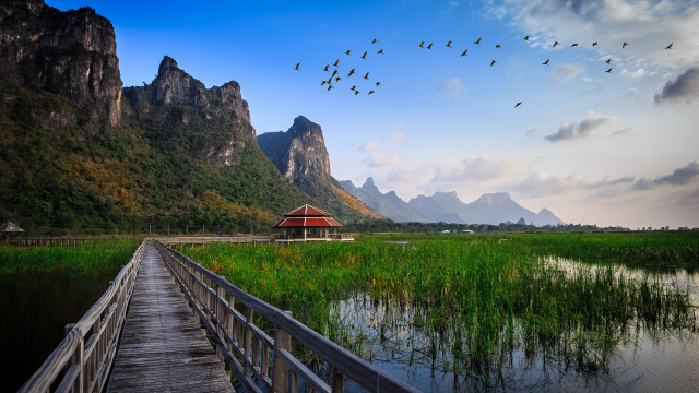 Wooden bridge red building birds free wallpaper - medium preview image