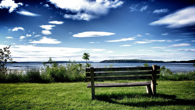 Wooden bench green lake sky free wallpaper - medium preview image