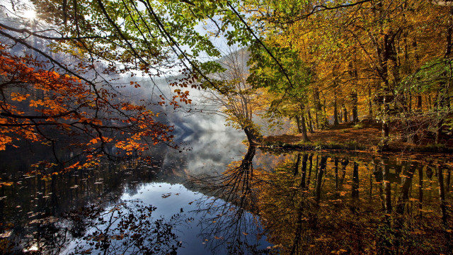 Autumn lake trees sky leaves free wallpaper - medium preview image