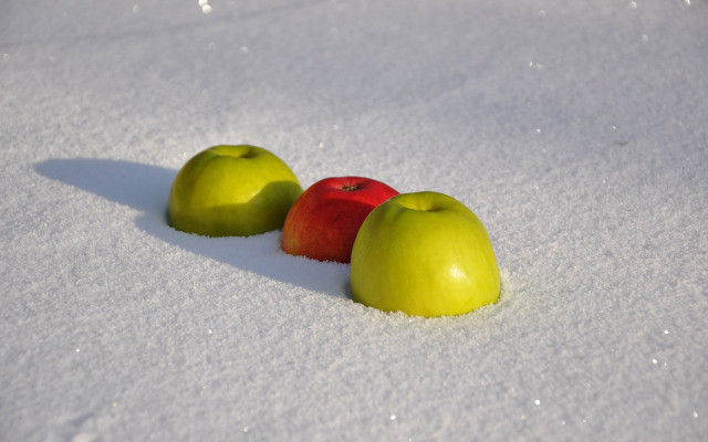 Apples snow center background conceptual free wallpaper for desktop - medium preview image