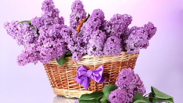 Lilacs basket purple background impressionism free wallpaper - medium preview image