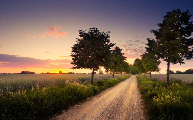 Dirt road trees sunset field free wallpaper - medium preview image