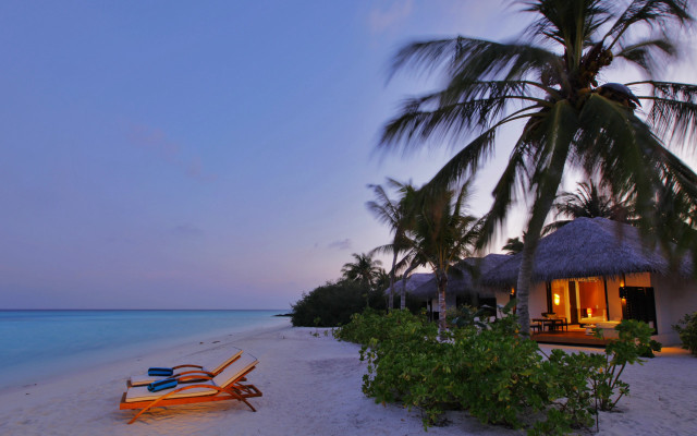 Beach palm trees hut dusk free wallpaper - medium preview image