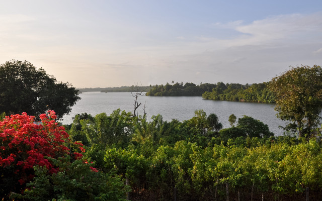 Lake forest bush boat samikshavad free wallpaper - medium preview image