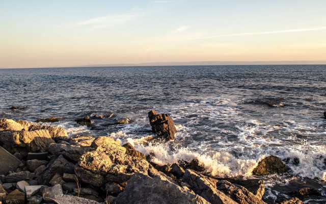 Rocky shore water birds matte free wallpaper - medium preview image