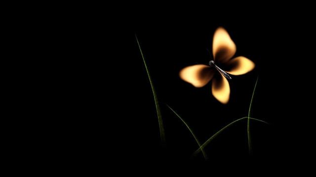 Blue butterfly yellow flowers artist free wallpaper - medium preview image