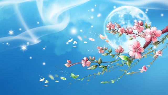 Branch cherry blossoms butterflies fullmoon free wallpaper - medium preview image