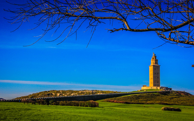 Clock tower hill tree fence free wallpaper - medium preview image