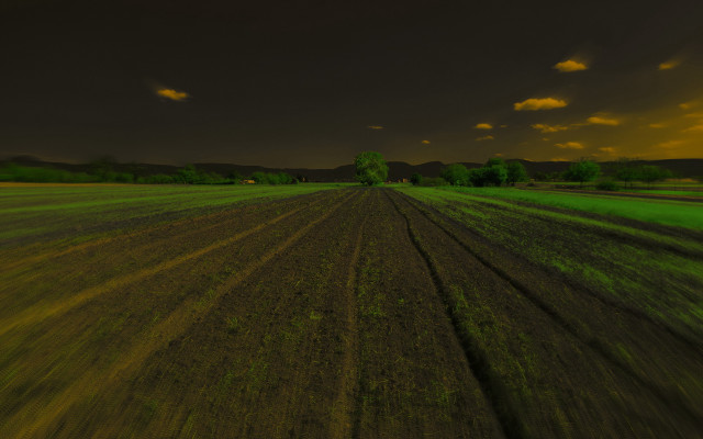 Field trees clouds sunset nature free wallpaper - medium preview image