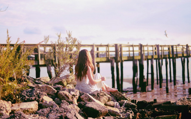 Woman rock water pier bird free wallpaper - medium preview image