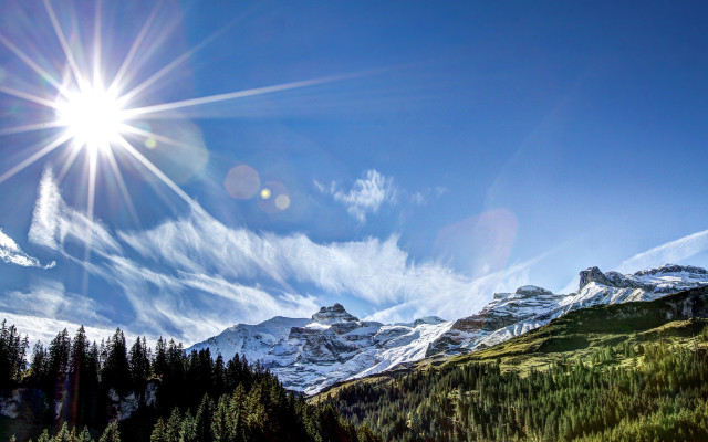 Sun mountain pine snowlight blue free wallpaper - medium preview image