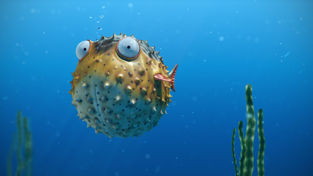 Pufferfish ocean algae aurora night free wallpaper - medium preview image