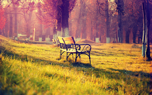 Park bench autumn sunset orange free wallpaper - medium preview image