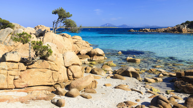 Rocky beach clear water tree free wallpaper - medium preview image