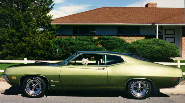 Green car house dog forest free wallpaper for desktop - medium preview image