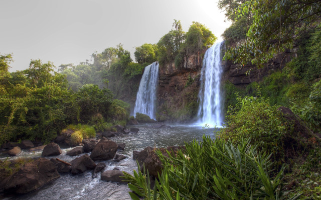 Waterfall forest rocks plants matte free wallpaper - medium preview image
