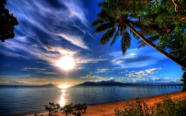 Sunset beach palm trees pier free wallpaper - medium preview image