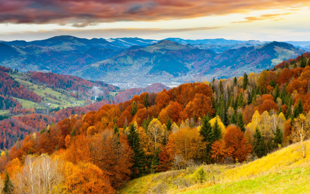 Mountain valley trees cloudy sky free wallpaper - medium preview image