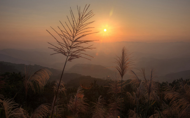 Sunset mountain foggy sky plant free wallpaper - medium preview image