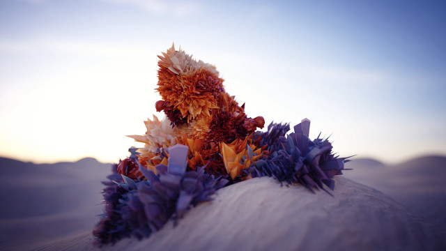 Flowers pillow beach sunset abstract free wallpaper - medium preview image