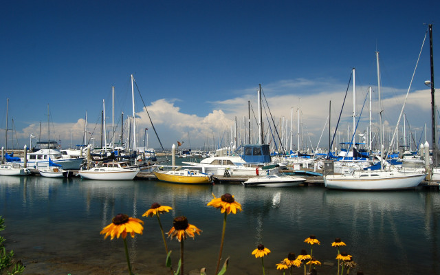Boats flowers grass summer vibrancy free wallpaper - medium preview image