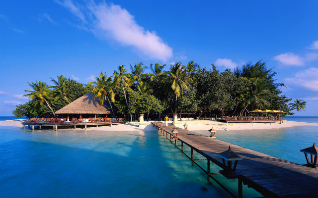 Pier beach hut palm trees #5 free wallpaper - medium preview image