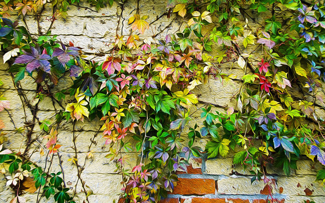 Brick vines clock flower garden free wallpaper - medium preview image