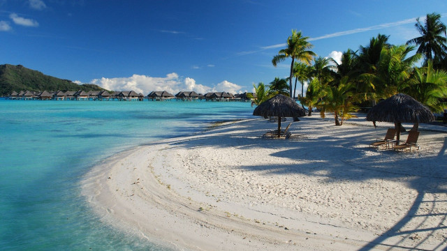 Beach palm trees blue sky #22 free wallpaper - medium preview image